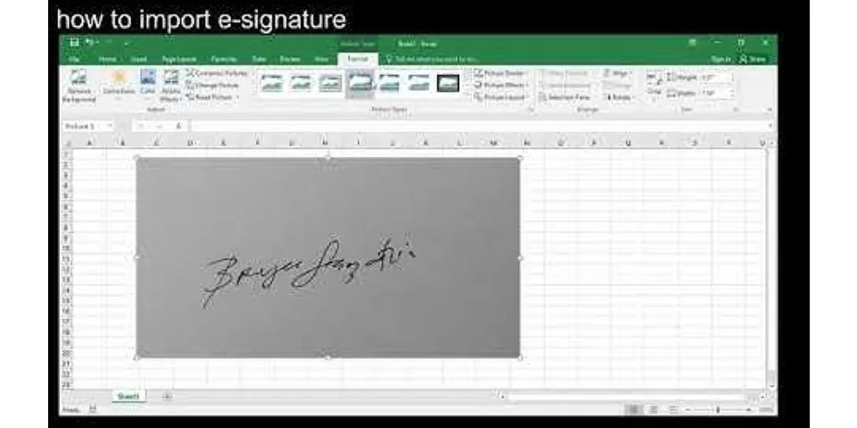 How do I insert an electronic signature?