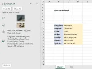 The Office Clipboard in Excel