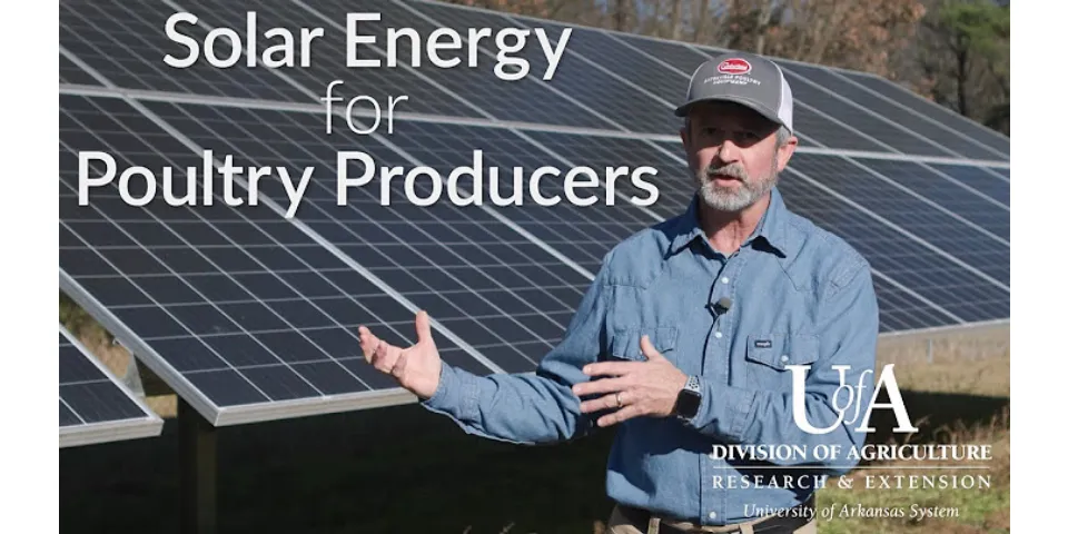 How does the sun provide energy for producers?
