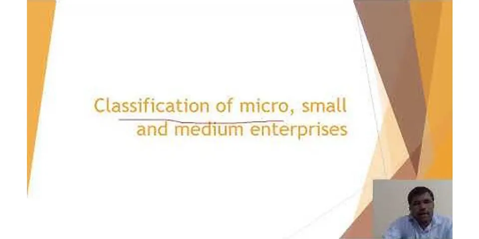 How many micro small and medium enterprises are there?