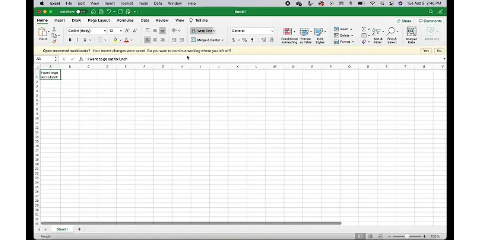 How to Wrap text in Excel Mac