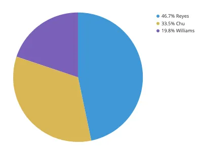 This pie chart shows share of votes for candidates following an election