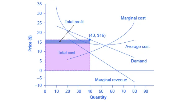 The graph shows that the point for profit maximizing output occurs where marginal revenue equals marginal cost. In addition, profit maximizing price is given by the height of the demand curve at the profit maximizing quantity.