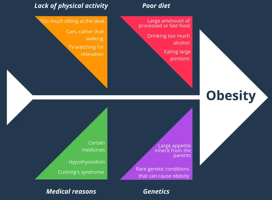 Fishbone Diagram Example - Obesity Reasons