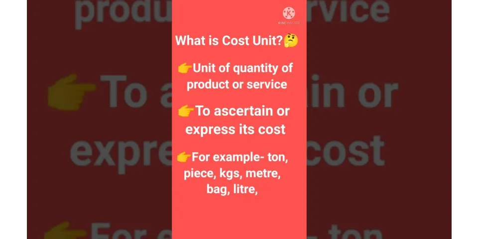 What is a cost unit