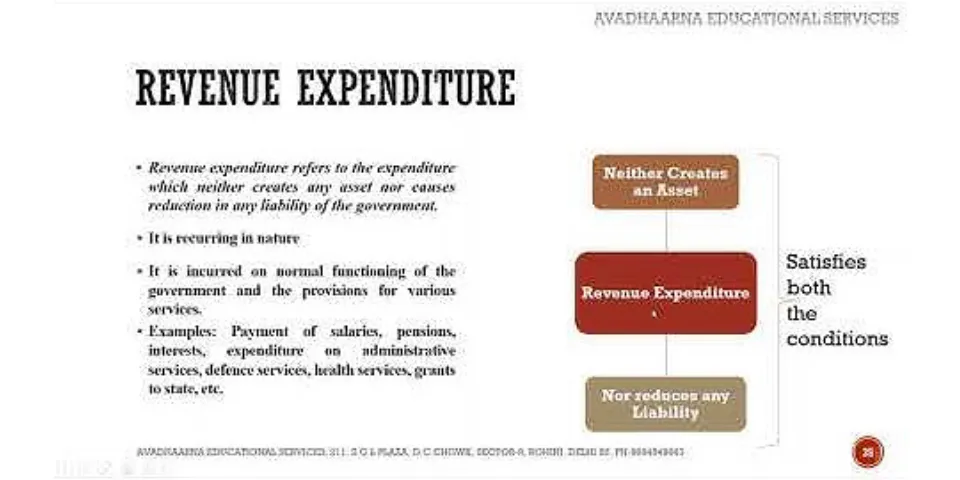 What is revenue expenditure class 12?