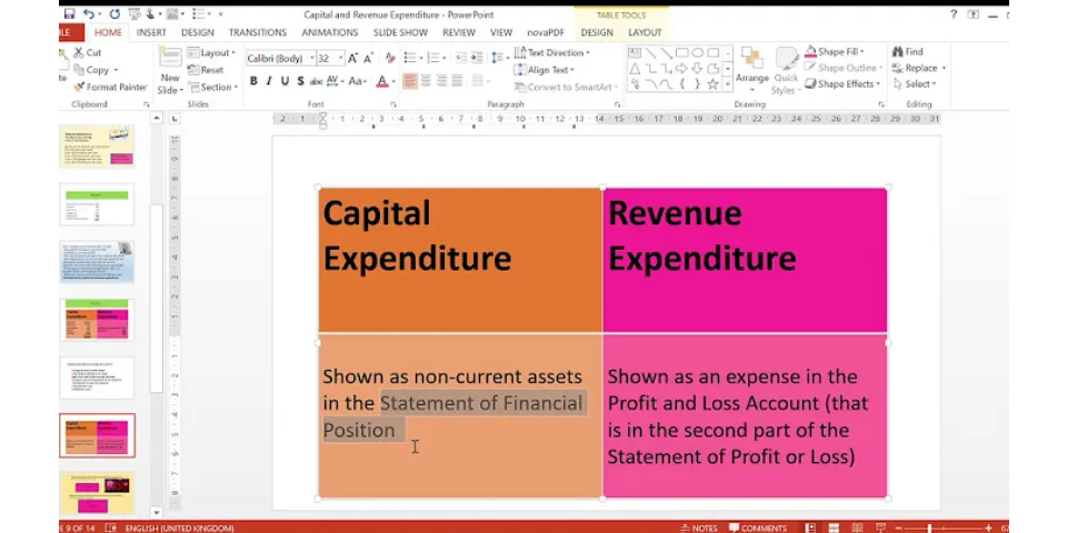 What is revenue expenditure PPT?