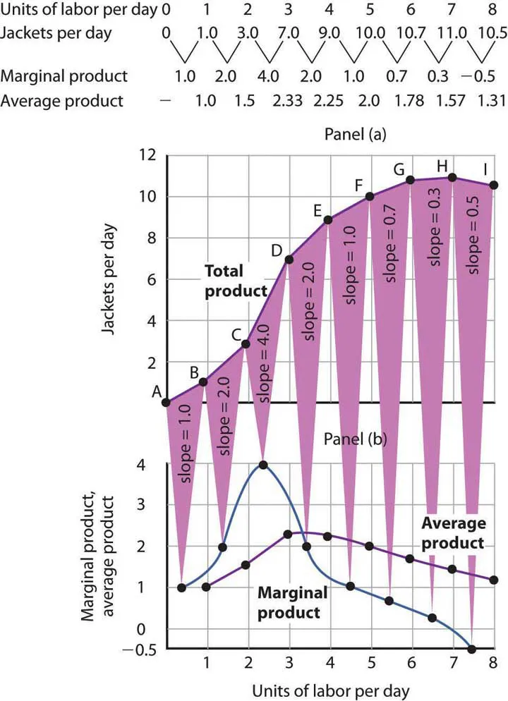 Shows the table values and graph of Acme's Clothing's Total, Average, and Marginal Product Curves.
